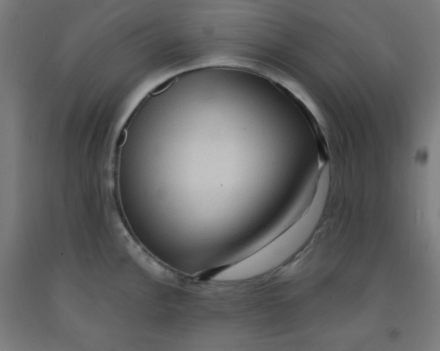 X0000091881148200709261346