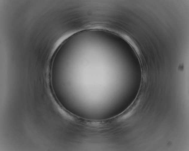 X0000091881149200709261346