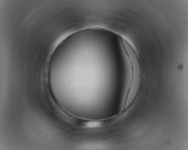 X0000091881151200709261346