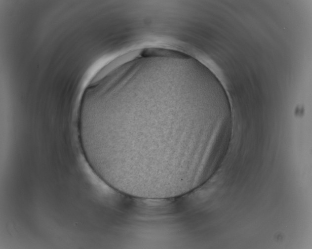 X0000091881152200709261346