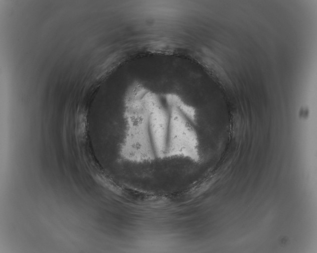 X0000091881154200709261345