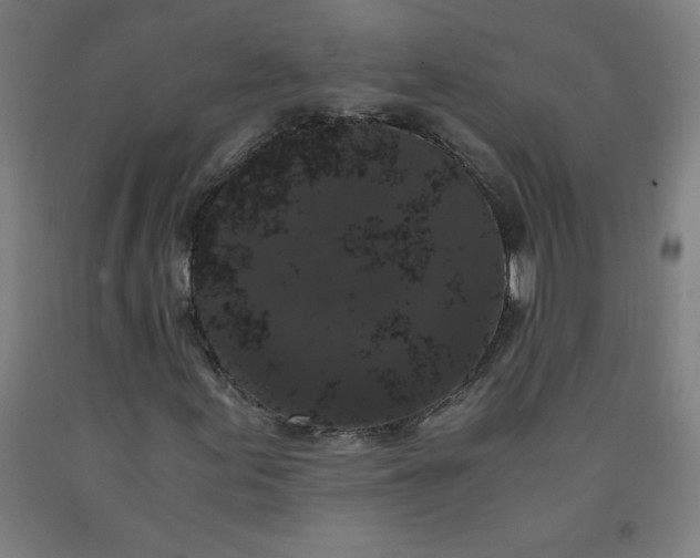 X0000091881155200709261345