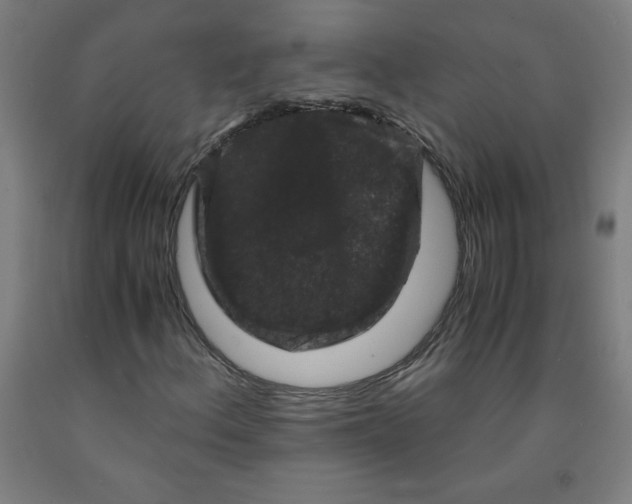 X0000091881156200709261345