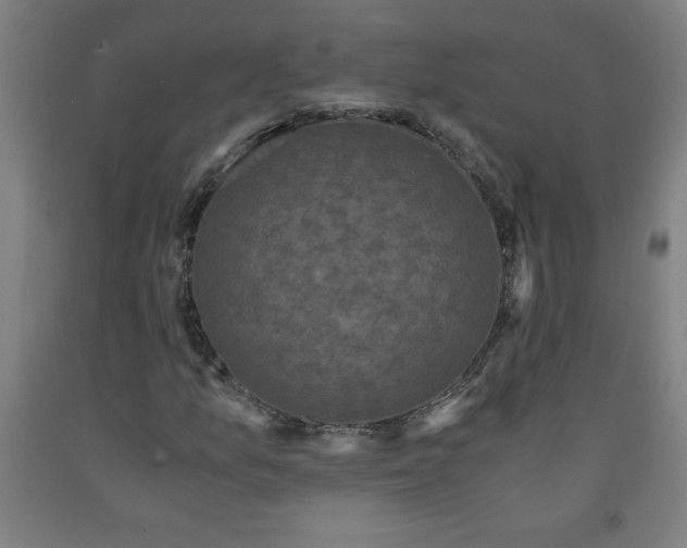 X0000091881157200709261345