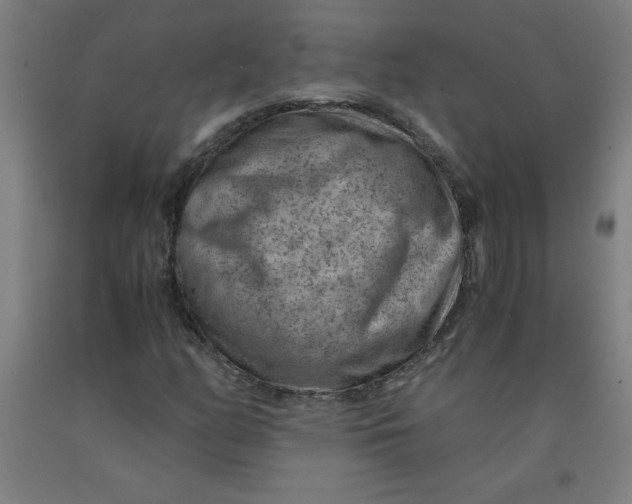 X0000091881158200709261345