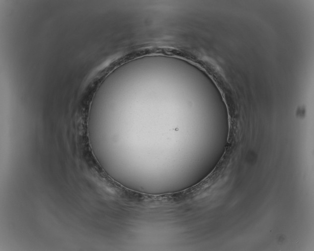 X0000091881159200709261345