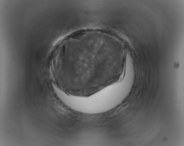 X0000091881160200709261345