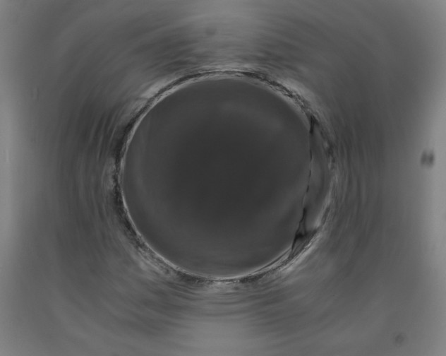 X0000091881161200709261345