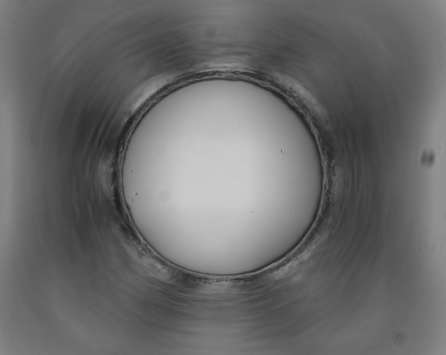 X0000091881162200709261345