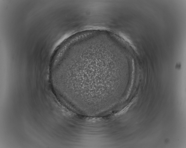 X0000091881165200709261345