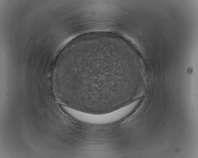 X0000091881169200709261345