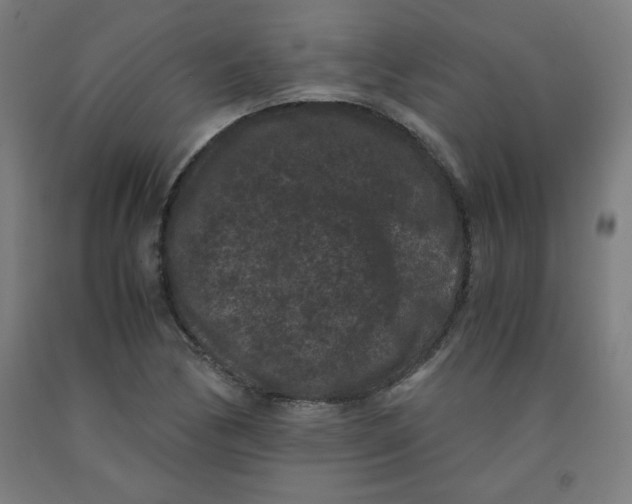 X0000091881170200709261345