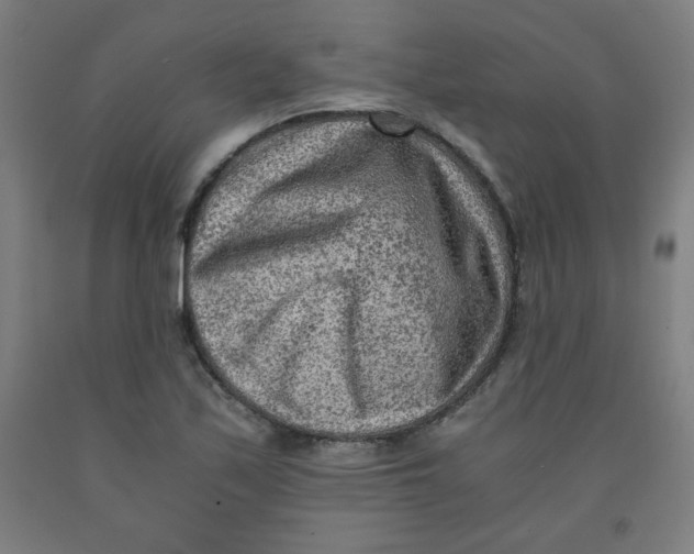 X0000091881171200709261345