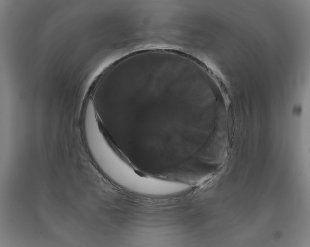 X0000091881173200709261345