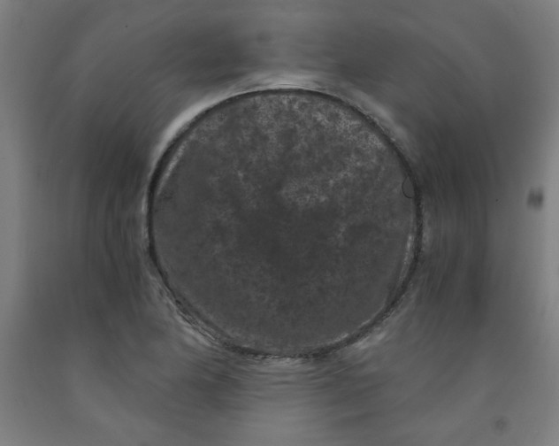 X0000091881174200709261345