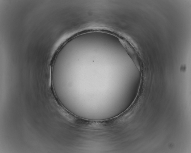 X0000091881175200709261345