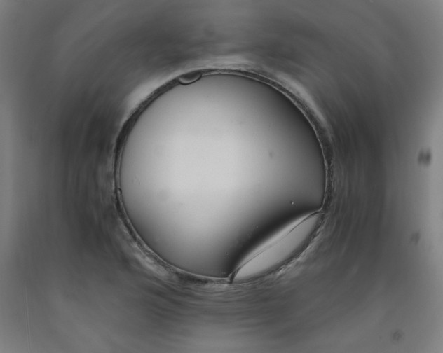 X0000091881176200709261345