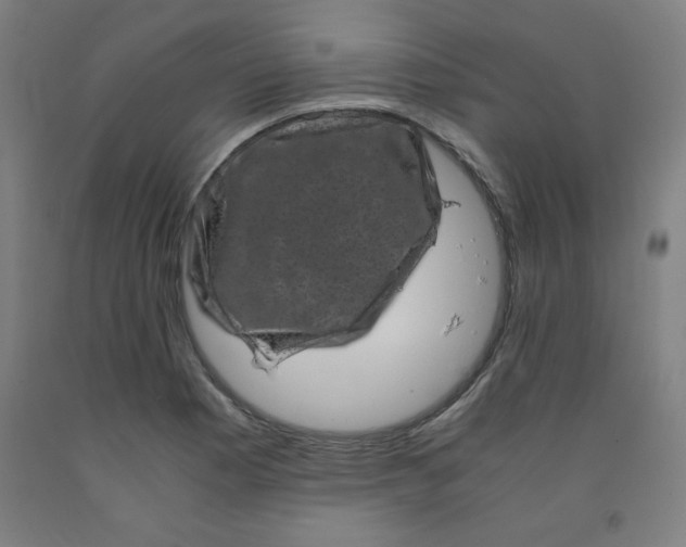 X0000091881177200709261345