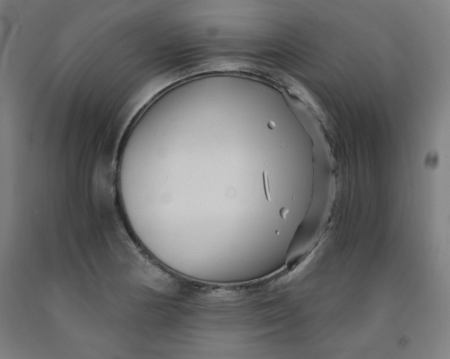 X0000091881178200709261345