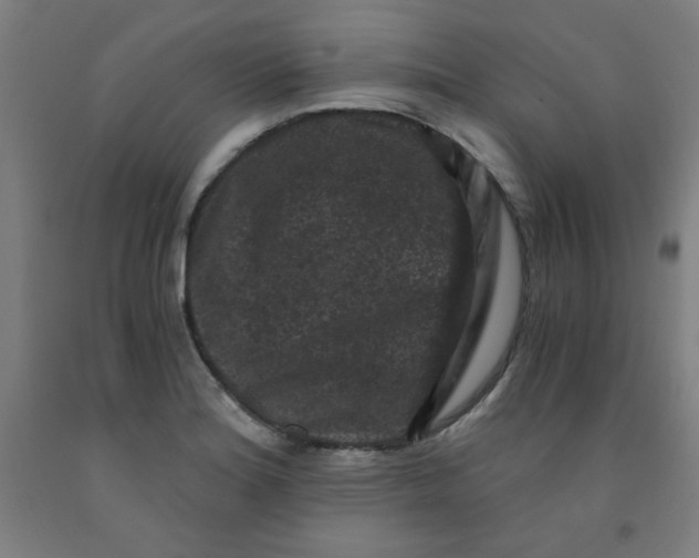 X0000091881180200709261345