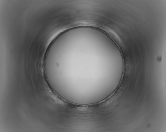 X0000091881182200709261345