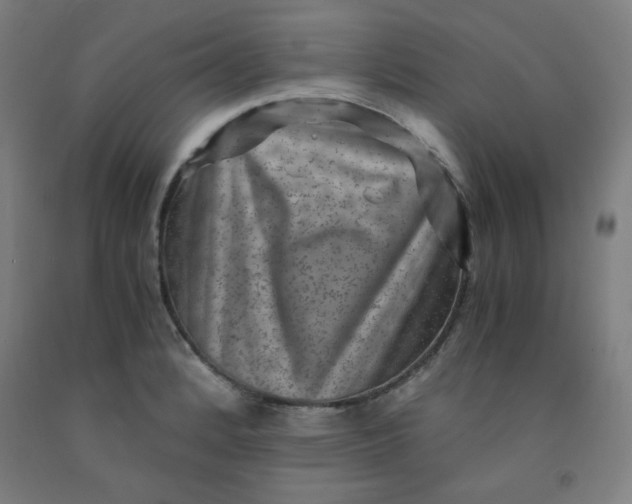 X0000091881184200709261345