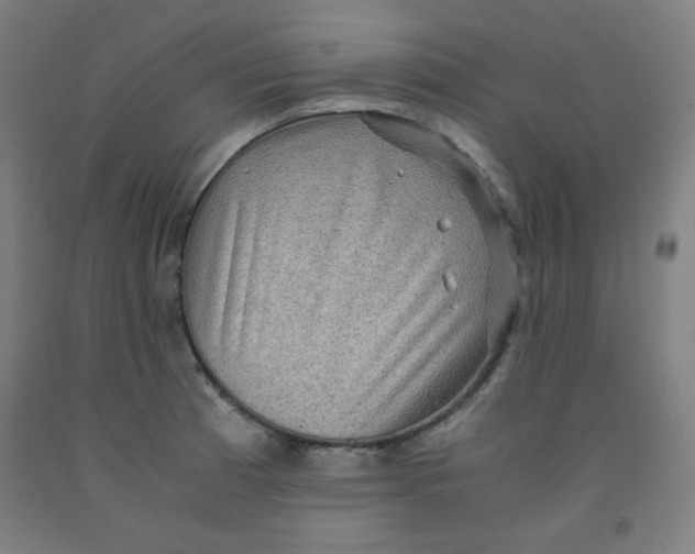 X0000091881185200709261345