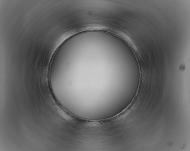 X0000091881186200709261345