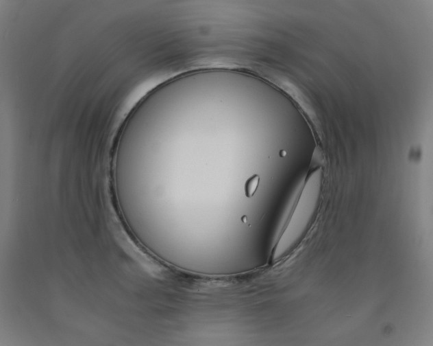 X0000091881187200709261345