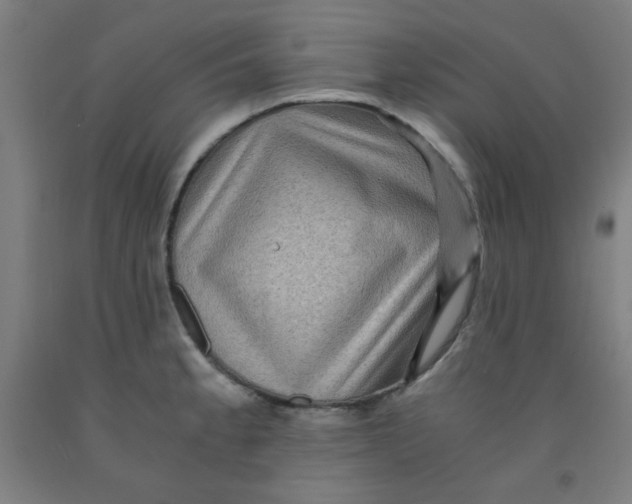 X0000091881189200709261345