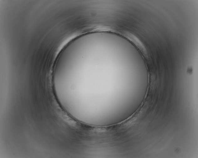 X0000091881190200709261345