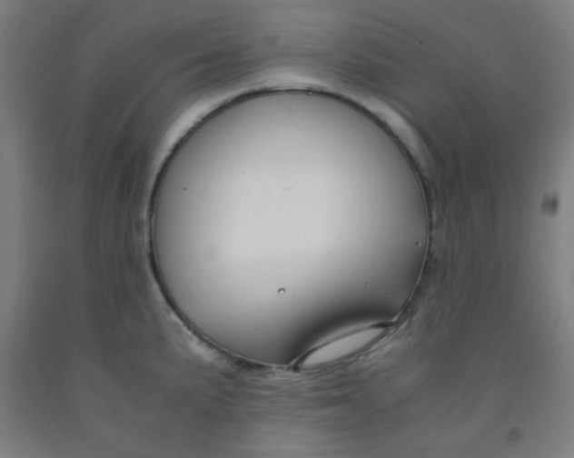 X0000091881191200709261345