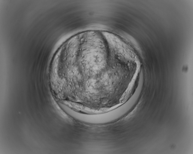 X0000091881192200709261345