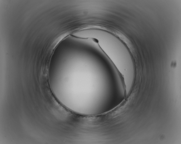 X0000091881193200709261345