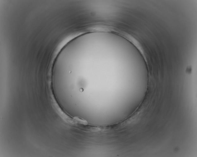 X0000091881195200709261345