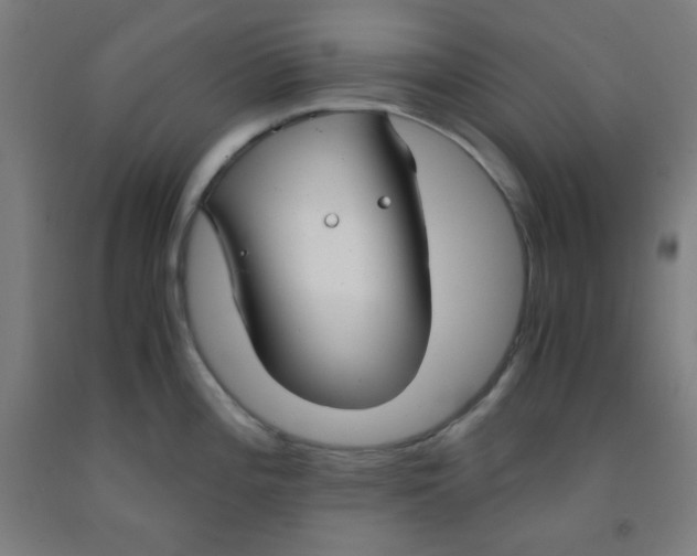 X0000091881196200709261345