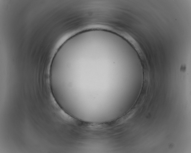 X0000091881199200709261345