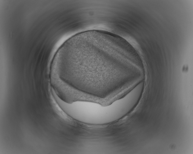 X0000091881200200709261345