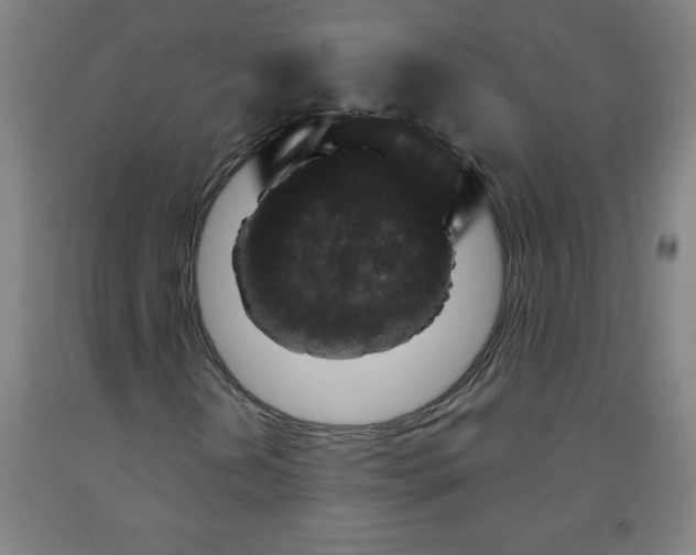 X0000091881202200709261344