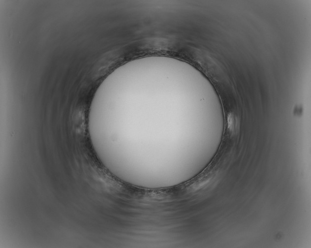 X0000091881203200709261344