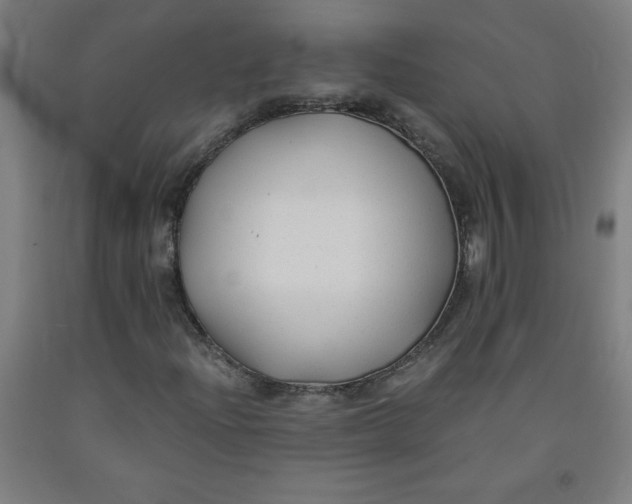 X0000091881204200709261344