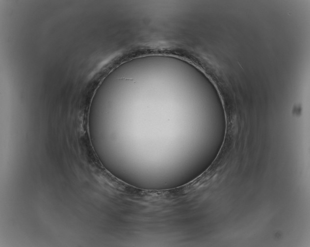 X0000091881205200709261344