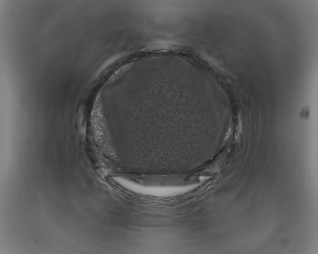 X0000091881206200709261344