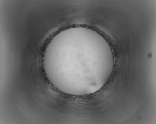 X0000091881207200709261344