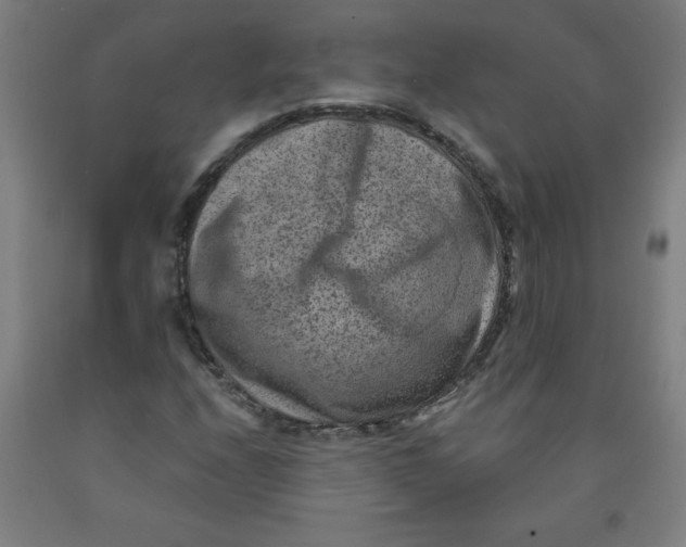 X0000091881208200709261344