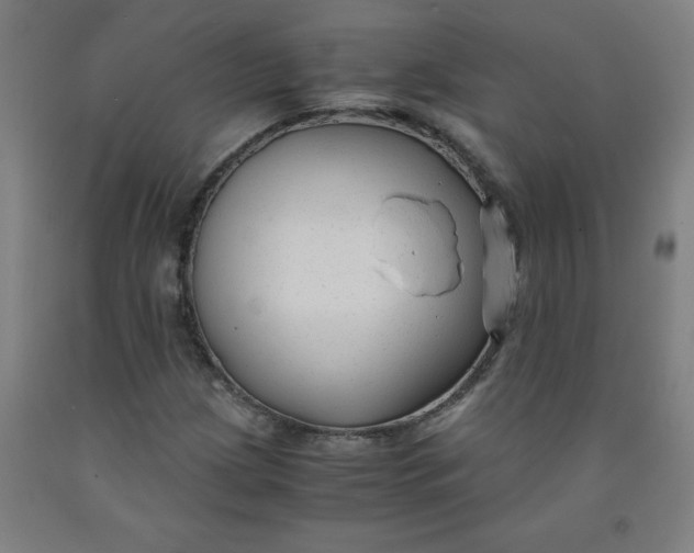 X0000091881209200709261344