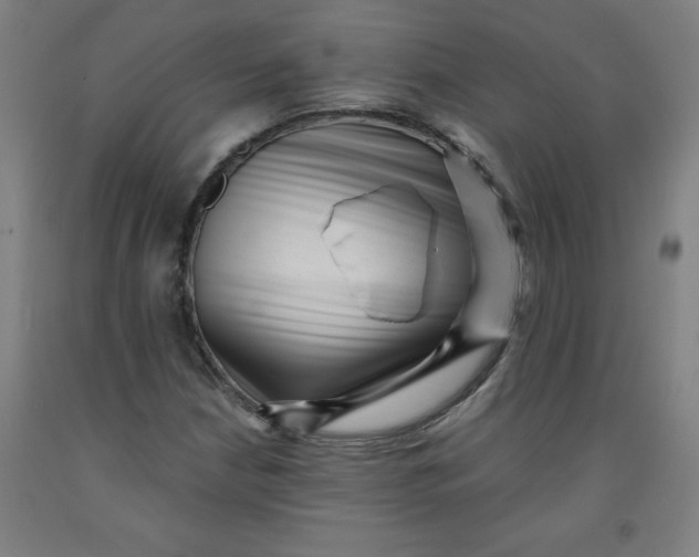 X0000091881210200709261344