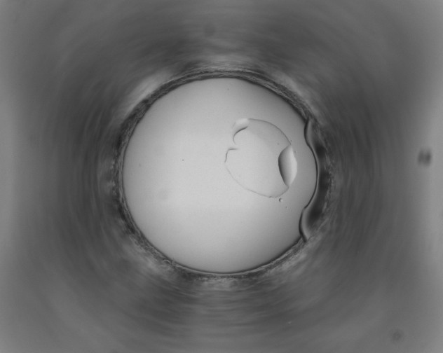 X0000091881211200709261344