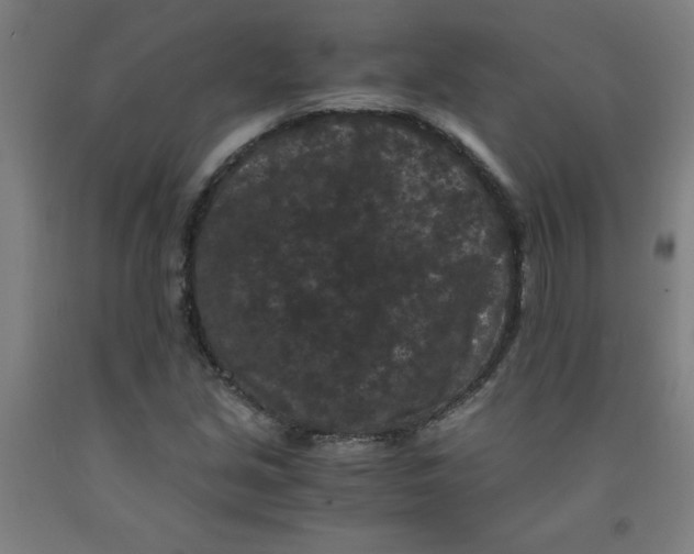 X0000091881213200709261344