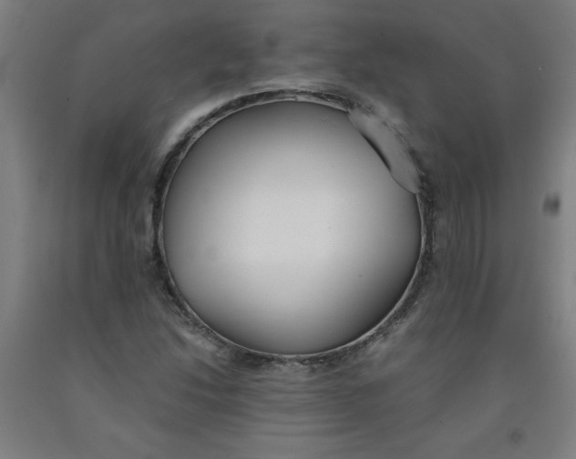 X0000091881214200709261344